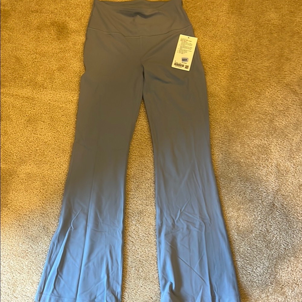 Blue Groove SHR Flare Pants